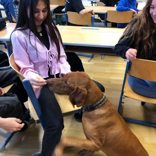 Besuch James 3a_2025